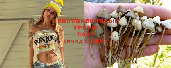 спиды Алексеевка