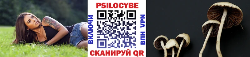 Галлюциногенные грибы прущие грибы  Полысаево 